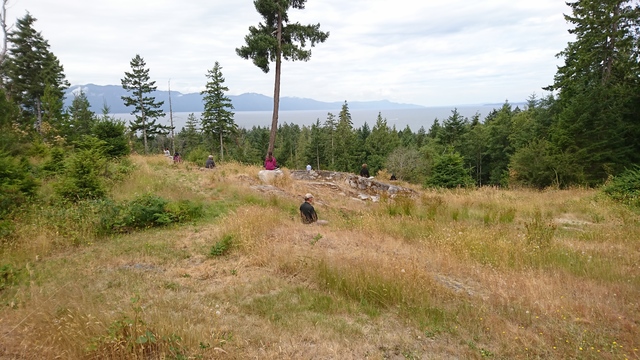 Sitting on the hill